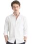 MANSLOOK Cotton Casual Solid Plain Formal/Semi Formal Stylish Latest Plain Shirt for Men Casual Ivory White
