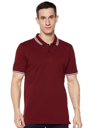 polo tshirt for men
